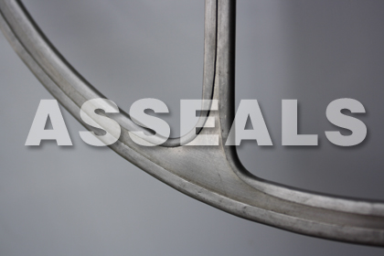 Double Jacketed Gaskets